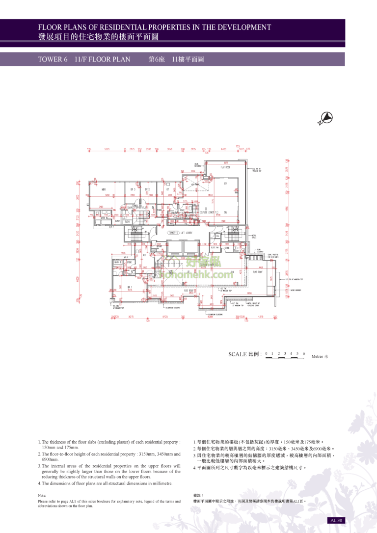 星堤 AVIGNON 6座 平面圖