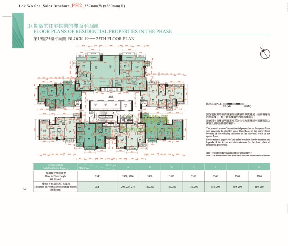 迎海 DOUBLE COVE 迎海.星灣(第二期 PHASE 2) DOUBLE COVE STARVIEW 第19座 平面圖