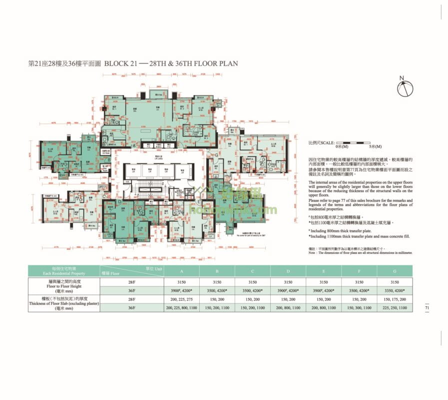 迎海 DOUBLE COVE 迎海．星灣(第二期 PHASE 2) DOUBLE COVE STARVIEW 第21座 平面圖