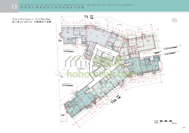GRAND AUSTIN 2期 3座 平面圖