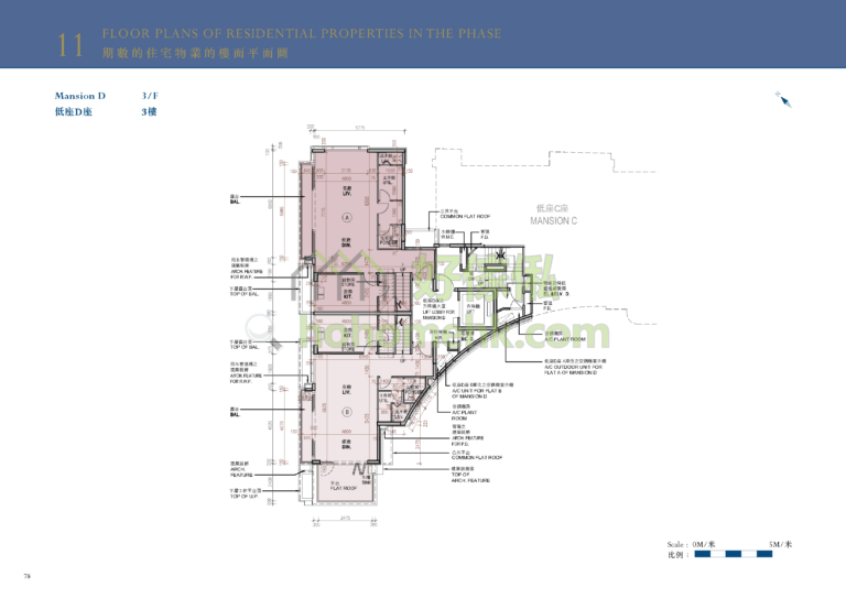MONACO DEVELOPMENT 2期 低座D座 平面圖