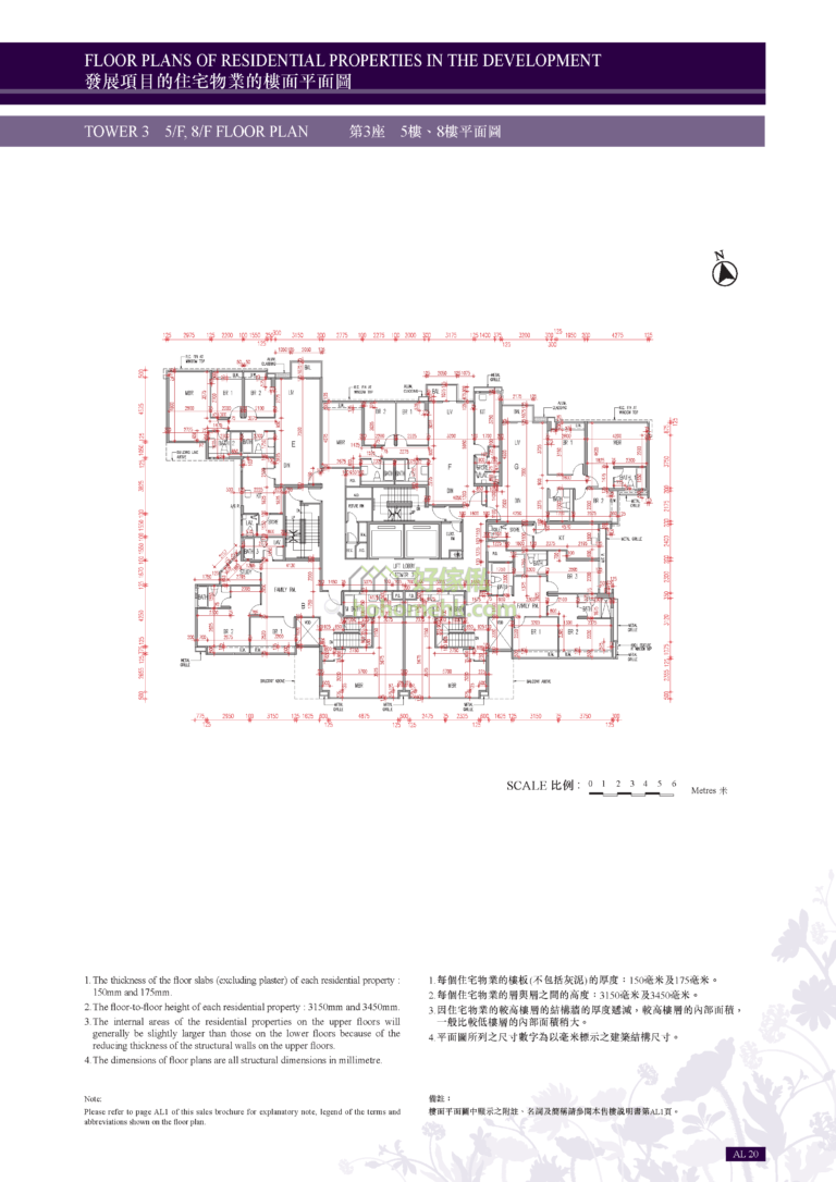 星堤 AVIGNON 3座 平面圖