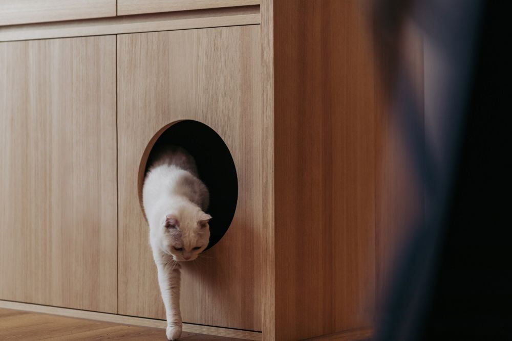 貓砂盆擺在居家空間中難免有異味及貓砂灑出的困擾，有些愛整潔的主人更會將「貓廁所」收進儲物櫃內