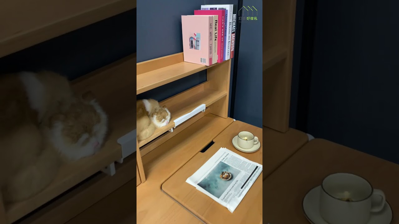 【工廠實拍】Hannah兒童書架升降書枱 | 成品傢私 | 書枱 | 實木餐枱 | 好傢俬 Hohomehk：影片真實縮圖